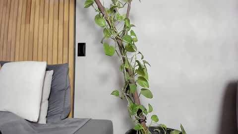 Snapshot of honeyhot69__ chatting on December 2024 11:07:02 AM Sofia independent model online show from December 2024 11:07:02 AM