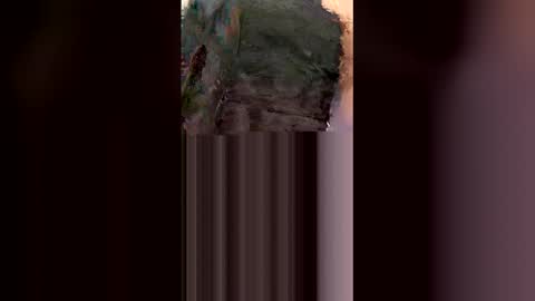 hongo4207 online show from February 2026 12:19:01 PM