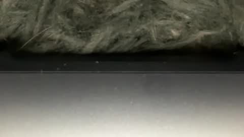 Snapshot of hoodiesahdgoodies chatting on February 2026 05:38:02 AM D online show from February 2026 05:38:02 AM