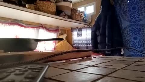 Snapshot of hoodoou chatting on December 2025 07:21:01 PM hoodoou online show from December 2025 07:21:01 PM