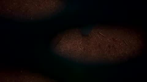 hopper_in_joyce online show from March 2025 09:10:02 AM