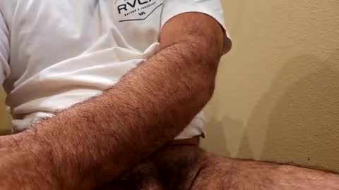 Hornlat online show from August 2026 09:17:01 PM