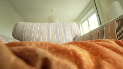 horny_edgucated online show from May 2026 01:17:02 PM