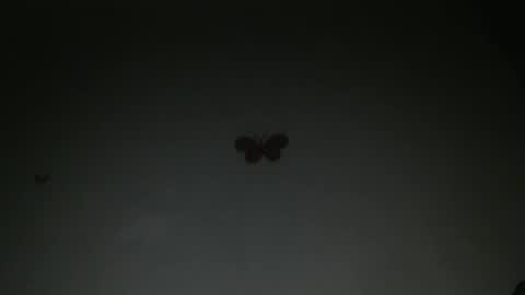 Snapshot of horny_iris chatting on February 2026 08:09:01 PM Iris online show from February 2026 08:09:01 PM