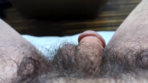 Snapshot of hornyallthetime6969696969 chatting on September 2025 07:04:02 PM Tiny cock online show from September 2025 07:04:02 PM