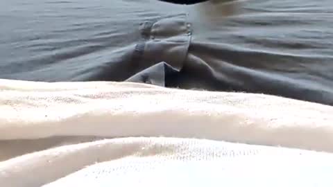 Tiny cock online show from April 2026 06:05:02 PM