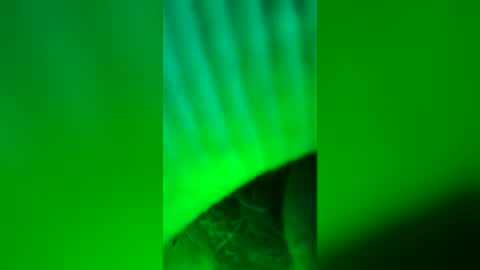 hornygrantie online show from August 2026 07:49:01 PM