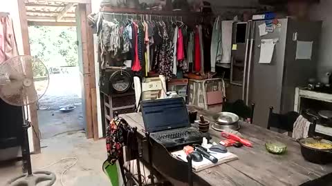 Nix  D online show from January 2026 06:40:01 AM