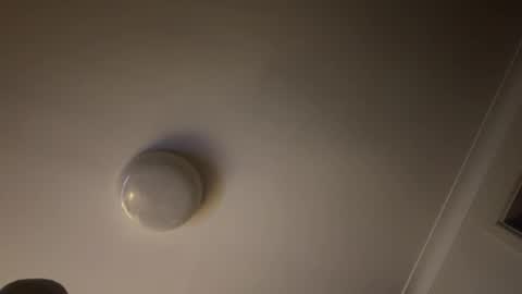 Snapshot of hornyonelooking1 chatting on February 2025 11:40:02 AM hornyonelooking1 online show from February 2025 11:40:02 AM