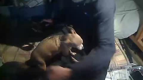 hornyscott666 online show from March 2026 09:04:01 AM