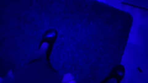 Snapshot of hornystroker21 chatting on October 2025 02:01:02 AM hornystroker21 online show from October 2025 02:01:02 AM