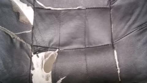 Snapshot of horsecockboy21 chatting on March 2026 07:54:02 AM horsecockboy21 online show from March 2026 07:54:02 AM