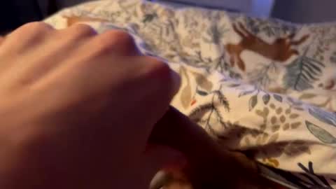 hot_for_you_ online show from February 2026 02:10:01 AM