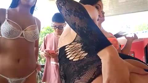 kittens online show from February 2026 03:12:01 PM