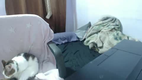 Snapshot of hotandpower10 chatting on November 2025 03:49:02 AM Hot and PowerHOPE U MISS ME online show from November 2025 03:49:02 AM