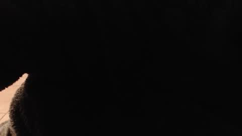 hotboxbbyz online show from December 2025 10:18:02 PM