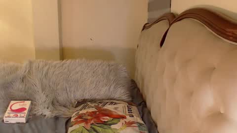 Snapshot of hotgoddesselectrax chatting on October 2025 04:59:01 AM Miss ELY online show from October 2025 04:59:01 AM