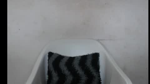 hotjessie0 online show from October 2025 09:06:02 AM