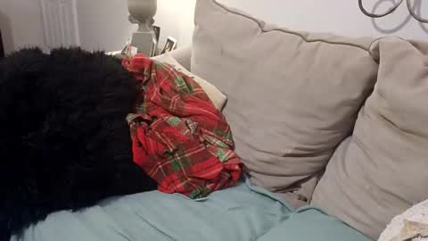 Snapshot of hotpepperrose chatting on February 2026 02:33:01 AM hotpepperose online show from February 2026 02:33:01 AM