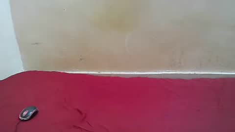 hotpussy1225 online show from November 2025 08:13:01 AM