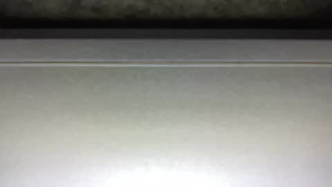 Jack online show from February 2025 03:23:02 AM