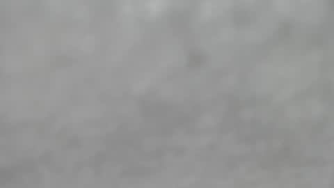 Snapshot of hourg chatting on October 2025 04:33:02 AM Slutty little female cat online show from October 2025 04:33:02 AM