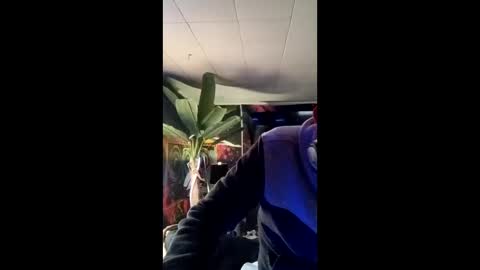 SeanPatrick online show from May 2026 01:19:01 PM