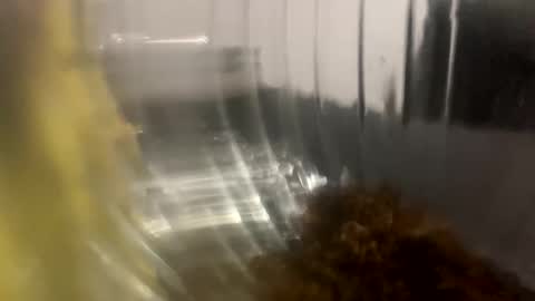 Snapshot of howarudoing chatting on October 2025 01:59:02 AM howarudoing online show from October 2025 01:59:02 AM