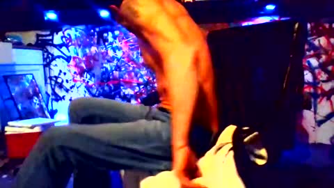 Snapshot of howbowdadareboy33 chatting on February 2025 12:22:02 PM ask me online show from February 2025 12:22:02 PM