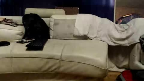 huippari online show from September 2025 12:32:02 PM