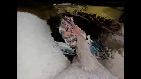 hung_mac0 online show from March 2026 01:51:01 PM