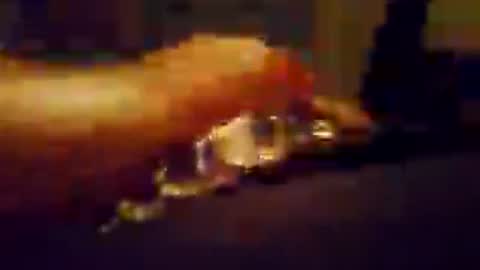 Snapshot of hungnhard1991 chatting on July 2026 05:11:02 PM Aussieboy69 online show from July 2026 05:11:02 PM