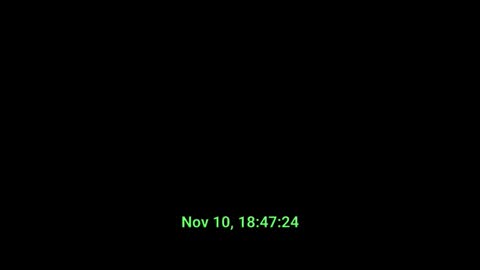 Husz online show from November 2025 10:47:02 AM