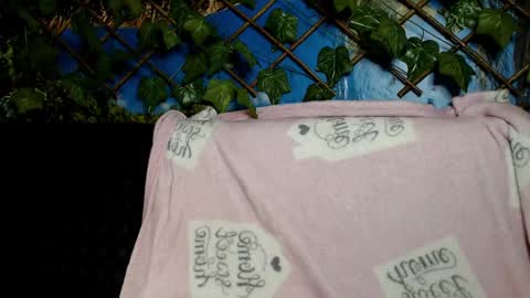 Kayla online show from December 2024 04:20:01 AM