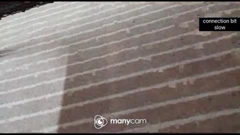 JP online show from January 2026 01:02:02 PM