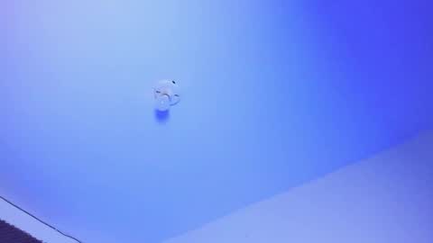 NAHO online show from October 2025 03:12:02 AM