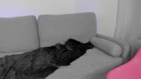    online show from April 2026 01:34:01 AM