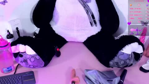 Steph - Online Again   - 1 DECEMBER online show from January 2025 05:56:01 AM