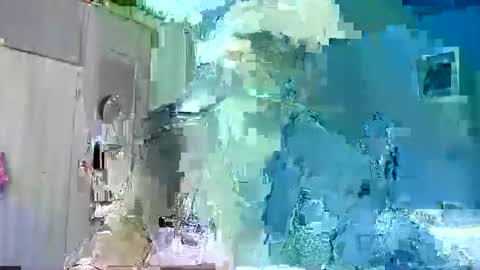 Ian Snake online show from January 2026 03:33:01 AM