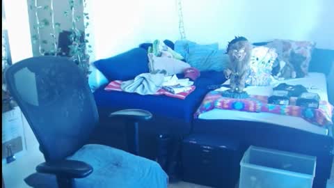 Snapshot of ibpms247 chatting on February 2025 05:42:01 PM PMS online show from February 2025 05:42:01 PM