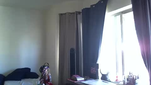 Snapshot of ibpms247 chatting on October 2025 07:47:02 PM PMS online show from October 2025 07:47:02 PM