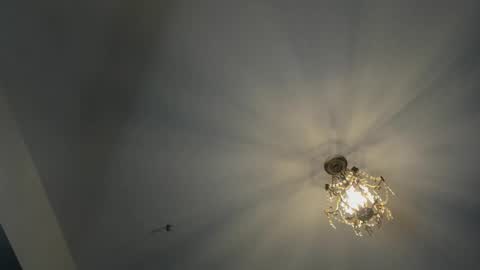 Snapshot of igor_scott chatting on February 2025 04:42:02 AM Igor scott online show from February 2025 04:42:02 AM