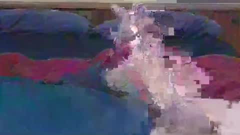 ihavebigballs00 online show from December 2024 03:06:01 AM