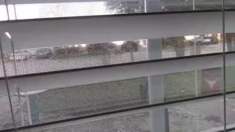 Snapshot of ijacker chatting on January 2025 10:56:02 PM Michael online show from January 2025 10:56:02 PM