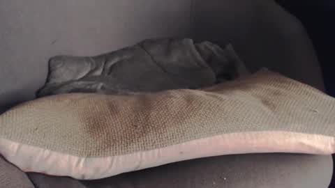 MR Marathon online show from October 2025 05:15:02 AM