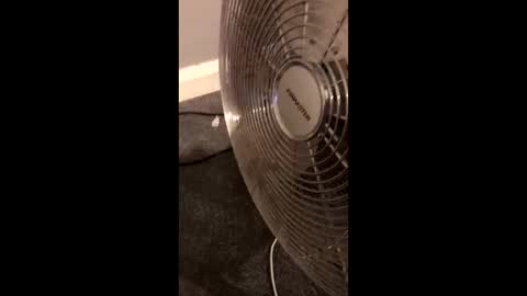 ilovebigpussylipsinmyface online show from November 2025 10:03:02 PM