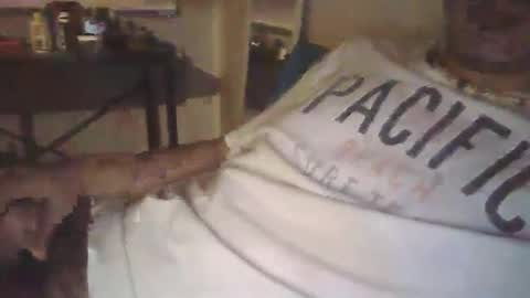 ilovecolombianas69 online show from March 2026 05:23:01 AM