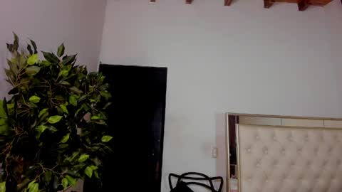 FELIX online show from May 2026 11:48:01 AM