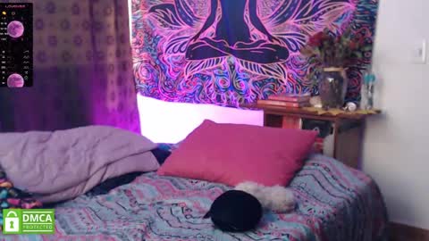 Cutie pie online show from December 2024 10:19:01 PM