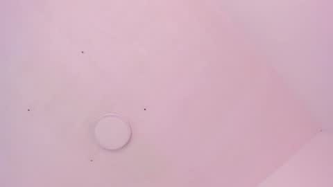 scarlett online show from May 2026 08:14:02 PM